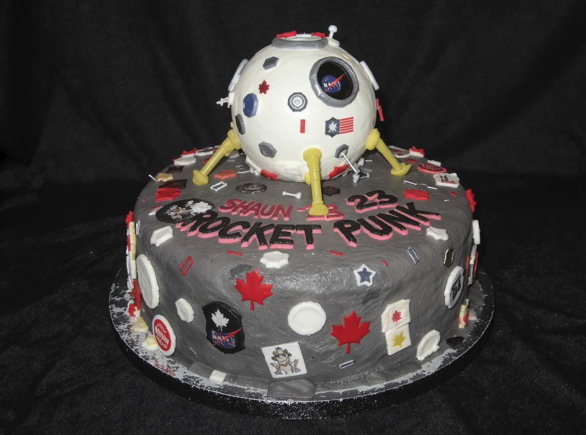 2008 cake